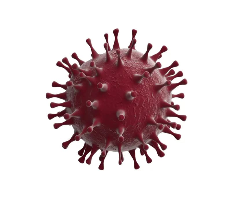 https://evawebsite.blob.core.windows.net/media/assets/Microsoft_Teams_image_21_205dfdf1ed.png