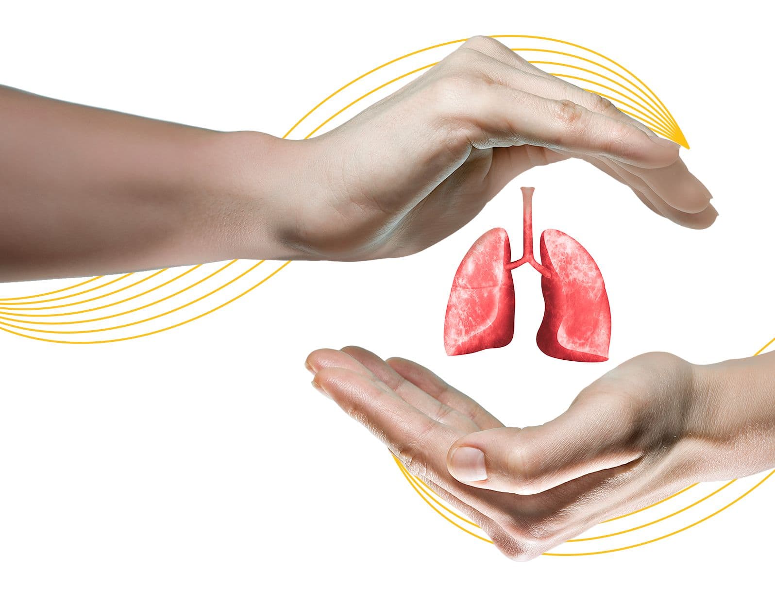 Respiratory System