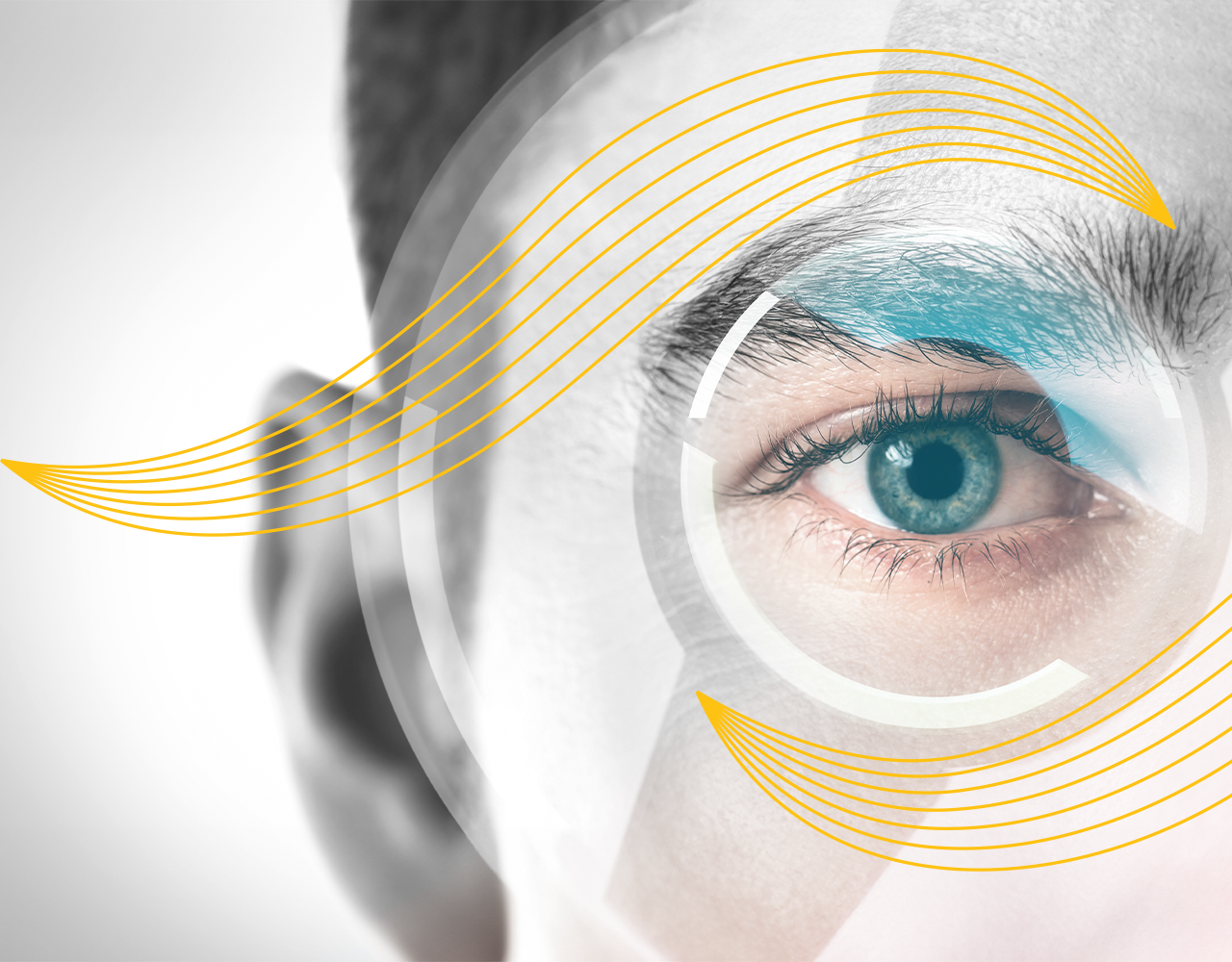 Ophthalmology